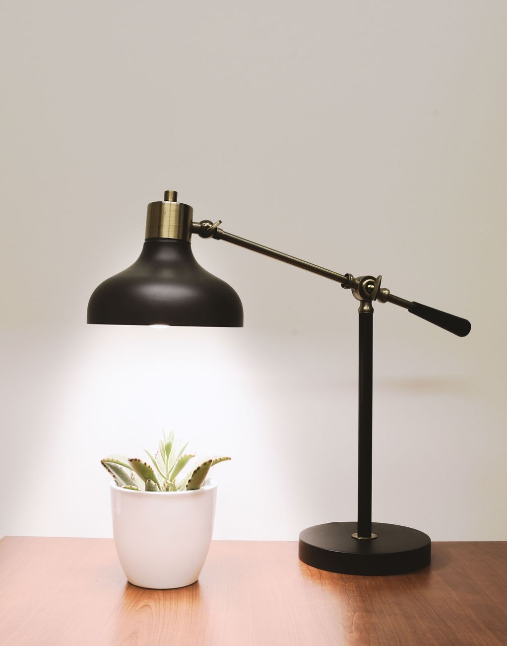 A warm-bulb table lamp on a wooden surface, casting soft amber light beside a small succulent — a minimal, considered fixture in a quiet evening room.