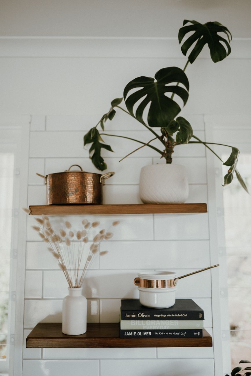 A styled kitchen shelf with a few pieces of cookware among plants and cookbooks — the four-piece intentional kitchen.
